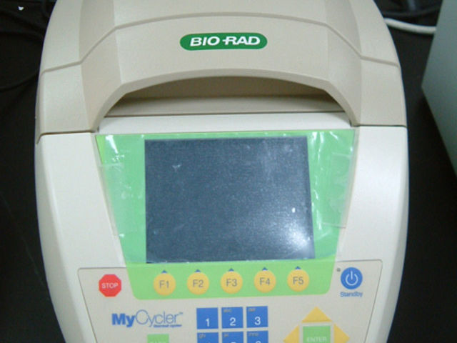 GRADIENT PCR
